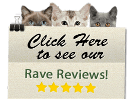 Click Here to see our Rave Reviews!