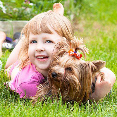 Caring for a Dog With Allergies | The Ark Animal Hospital